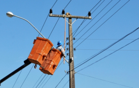 Operação para retirar ninhos de João de Barro da rede elétrica