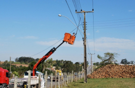 Operação para retirar ninhos de João de Barro da rede elétrica