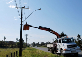 Operação para retirar ninhos de João de Barro da rede elétrica