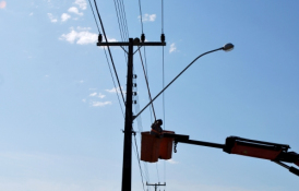 Operação para retirar ninhos de João de Barro da rede elétrica