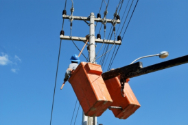 Operação para retirar ninhos de João de Barro da rede elétrica