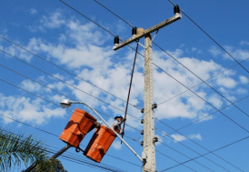 Operação para retirar ninhos de João de Barro da rede elétrica