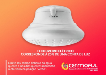 Chuveiro elétrico: dicas para economizar energia