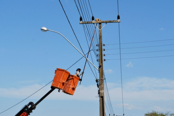 Operação para retirar ninhos de João de Barro da rede elétrica